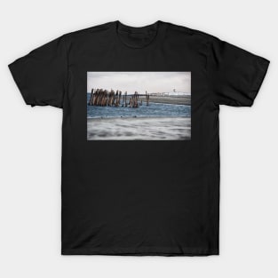 Winter Scented Sand T-Shirt